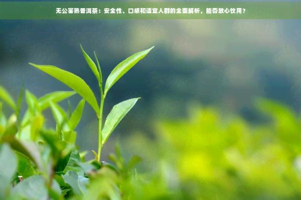 無公害熟普洱茶：安全性、口感和適宜人群的全面解析，能否放心飲用？