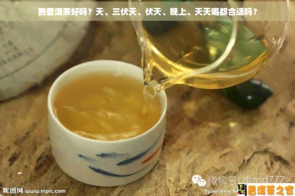 熟普洱茶好嗎？天、三伏天、伏天、晚上、天天喝都合適嗎？