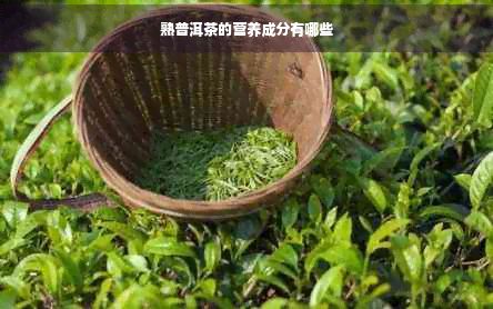 熟普洱茶的营养成分有哪些