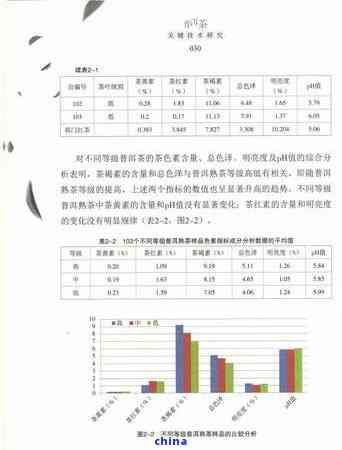 云南普洱茶的健益處及適用人群：從消化到免疫，一杯茶的全面解析