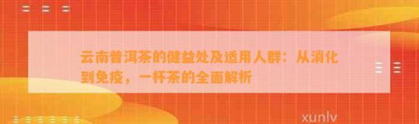 云南普洱茶的健益處及適用人群：從消化到免疫，一杯茶的全面解析
