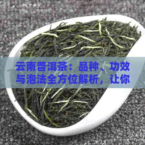 云南普洱茶：品種、功效與泡法全方位解析，讓你每天喝得健又美味！