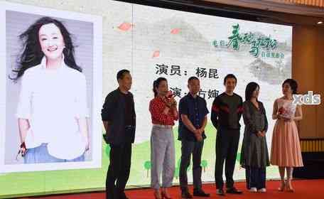 云南普洱茶的营养作用：功效、作用点与饮用、品鉴方法