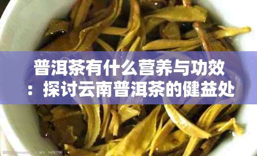 普洱茶有什么營養(yǎng)與功效：探討云南普洱茶的健益處及作用