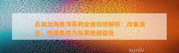 云南勐海普洱茶的全面功效解析：改善消化、增強免疫力及其他健益處