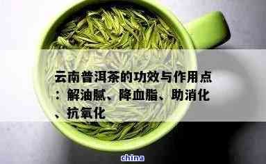 云南勐海普洱茶的全面功效解析：改善消化、增強免疫力及其他健益處
