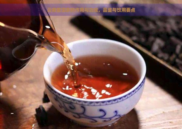 云南普洱茶的作用與功效，品鑒與飲用要點