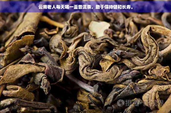 云南老人每天喝一壺普洱茶，助于保持健和長壽。