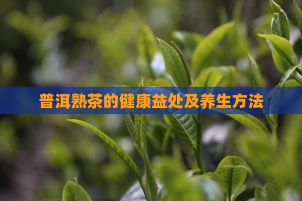 普洱熟茶的健康益处及养生方法