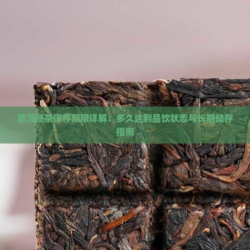 普洱熟茶保存期限詳解：多久達(dá)到品飲狀態(tài)與長期儲(chǔ)存指南