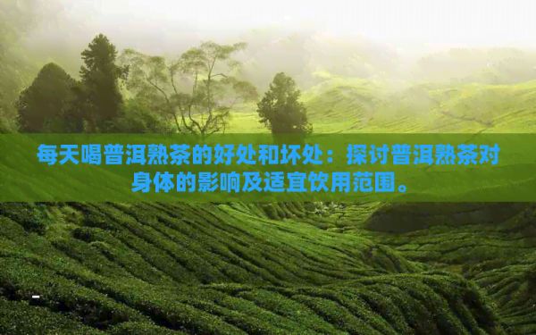 每天喝普洱熟茶的好处和坏处：探讨普洱熟茶对身体的影响及适宜饮用范围。