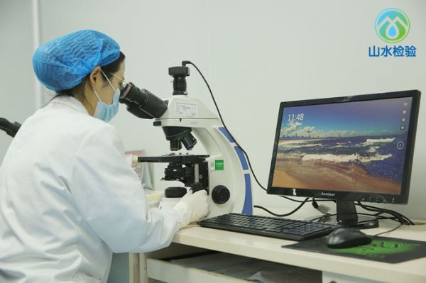 視力檢測 (2).jpg