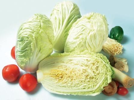 點(diǎn)擊圖片進(jìn)入下一頁(yè)