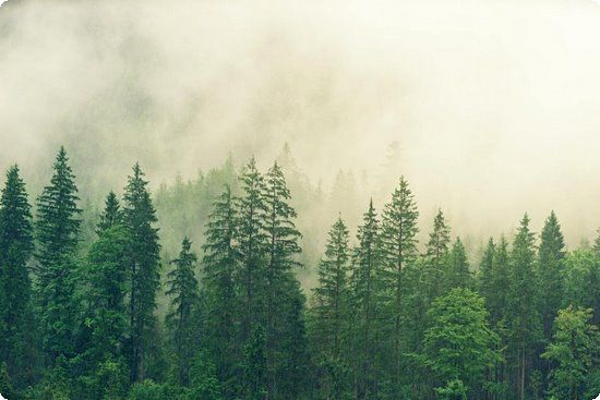專家說減肥,專家?guī)叱稣`區(qū)?健康減肥