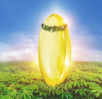 圖源：素囊健康科技