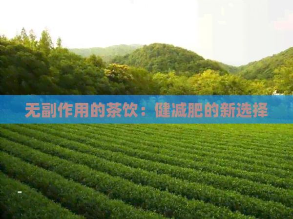 无副作用的茶饮:健减肥的新选择