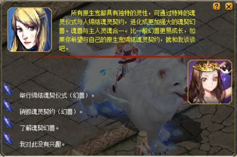 《魔域》幻兽玩法攻略之魂契幻兽