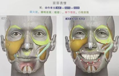 北京煤醫(yī)周云超主任祛饅輕羽術(shù)打造面部輕薄自然美