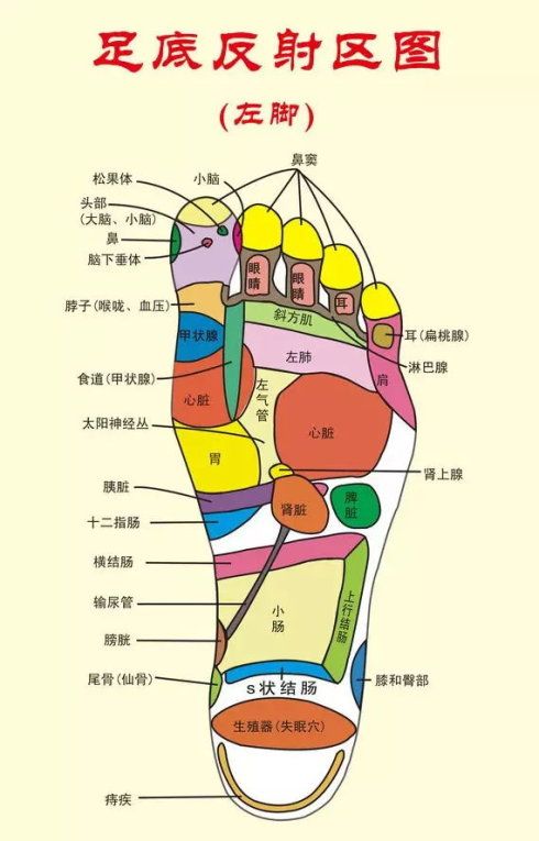小小擀面杖,擀搓脚底竟然如此神奇