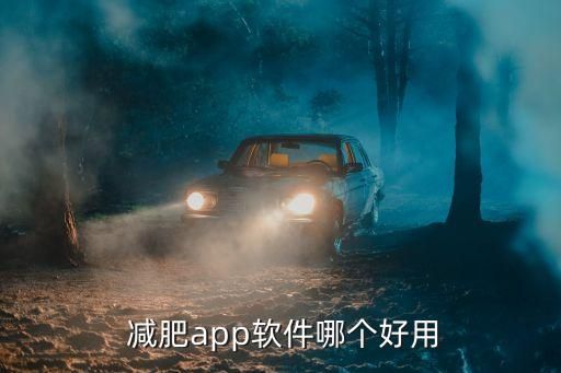  減肥app軟件哪個(gè)好用