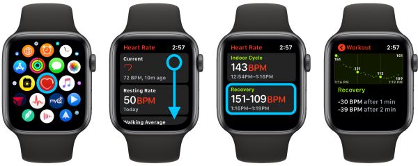 how-to-see-apple-watch-heart-rate-recovery-what-is-it-1