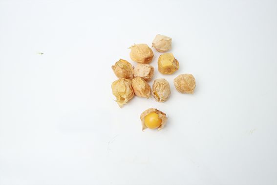 菠蘿果的功效與作用