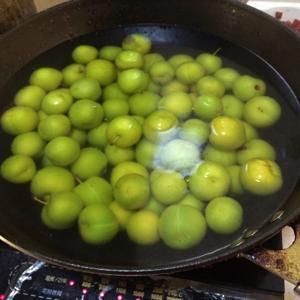 自制李子果脯（话梅）的做法步骤 第2步