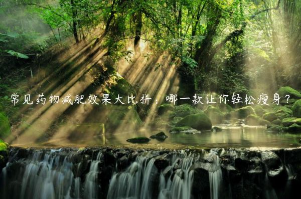 常見藥物減肥效果大比拼：哪一款讓你輕松瘦身？