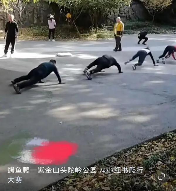 爬行运动突然爆火！医生紧急提醒