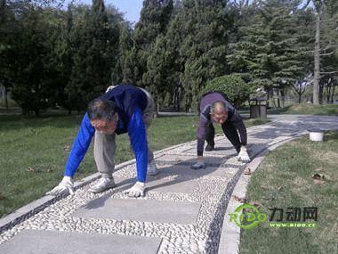 并非人人都適合爬行健身