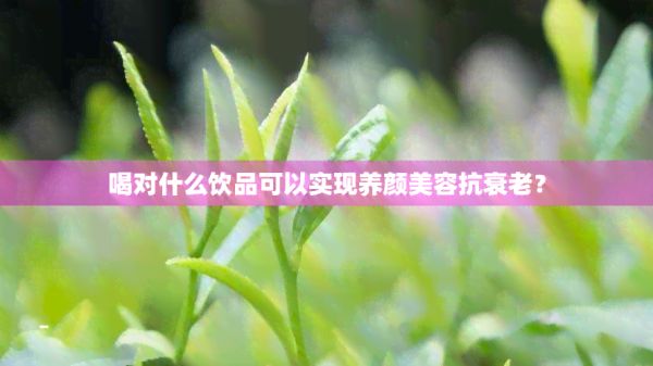 喝對什么飲品可以實現(xiàn)養(yǎng)顏美容抗衰老？