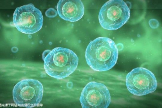 〖方便面的熱量,泡面熱量〗