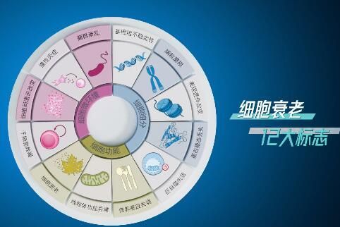 安利紐崔萊基源欣活飲品抗衰老原理是什么