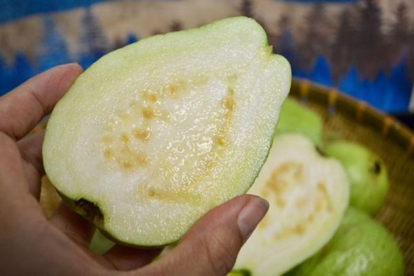 减肥妹子的福音来了,最佳抗氧化美容养颜塑身果,还你妙龄身材
