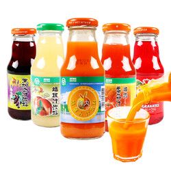 CHANG 常 新疆特產(chǎn)神內(nèi)胡蘿卜汁飲料238ml*10瓶綠色食品番茄汁代餐果蔬果汁