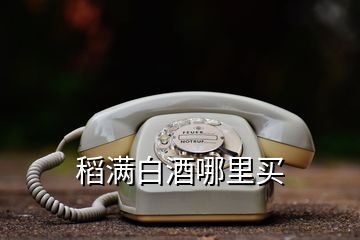 稻满白酒哪里买