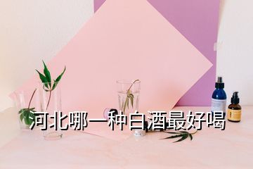 河北哪一种白酒最好喝