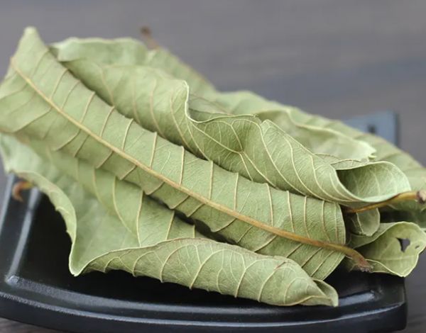番石榴葉的功效與作用 番石榴葉不能和什么配伍