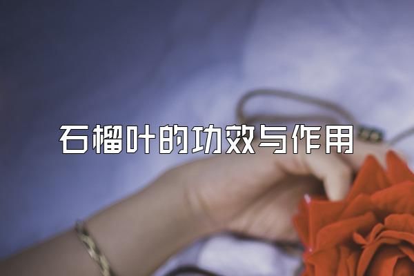 石榴葉的功效與作用