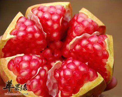 石榴掰開
