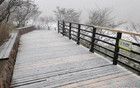 浙江多地迎降雪 周末起大部最低溫跌破冰點(diǎn)