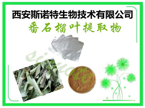 番石榴葉提取物