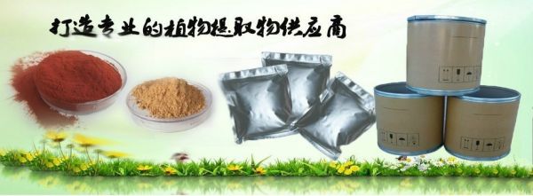 QQ圖片20131015093506_conew2