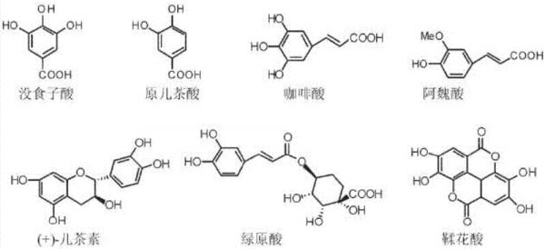 番石榴葉在降低農(nóng)田土壤重金屬毒性中的應(yīng)用的制作方法