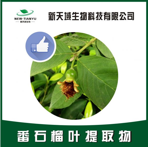 番石榴葉提取物,Psidium guajava Linn.