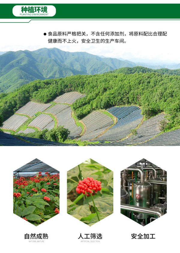 基地圖片