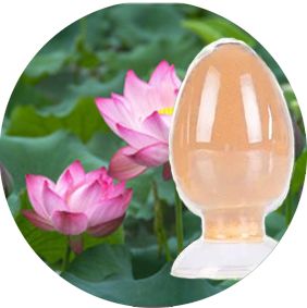 荷葉提取物：生物堿類物質(zhì)降脂減肥活性研究(圖1)