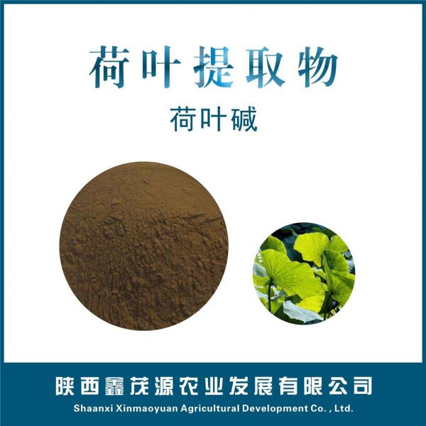 荷叶提取物,lotus leaf p.e.