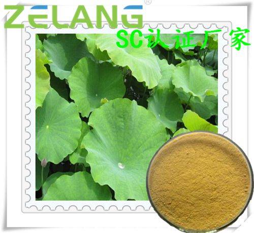 荷葉提取物荷葉堿