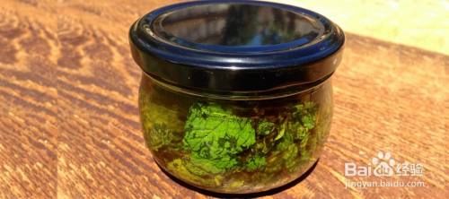 家庭自制薄荷精油